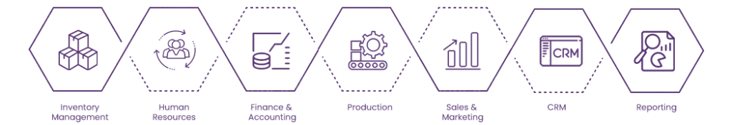 erp-infographic copy
