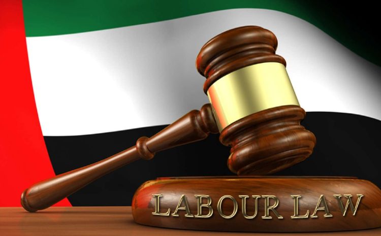  UAE Labour Law: Complete Guide for Employers and Employees